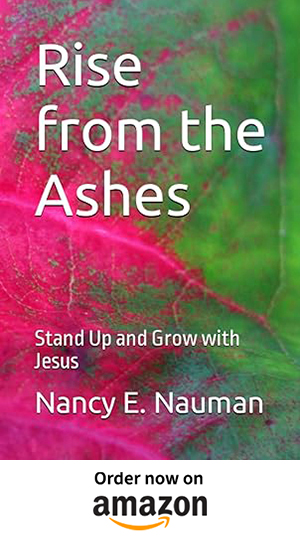 Rise from the Ashes by Nancy E. Nauman - order on Amazon
